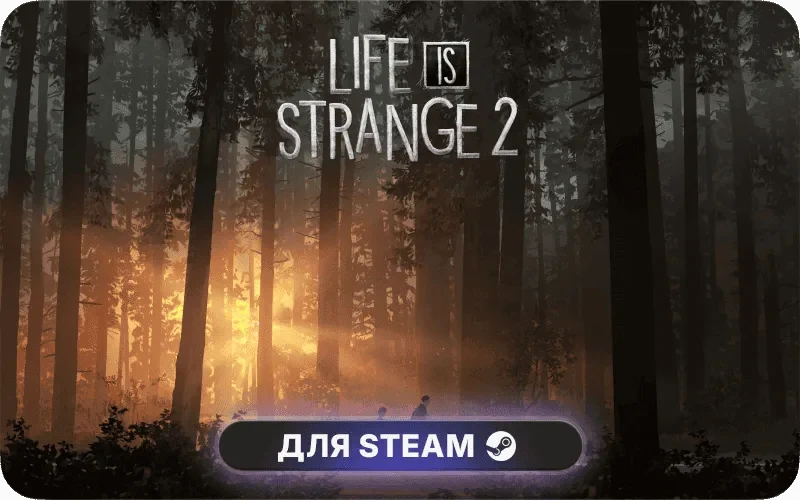 Life is Strange 2 - Episode 2